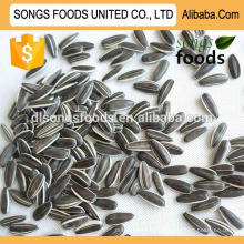 Chinese High Quality Roasted Sunflower Seeds